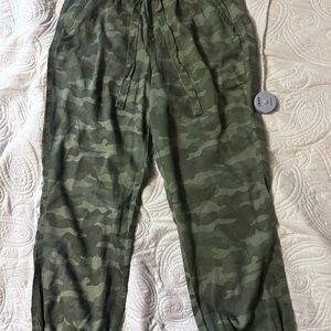 Knox Rose Olive Green Jogger Pants